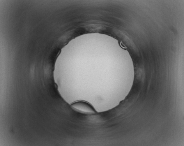 X0000116820283200912312021