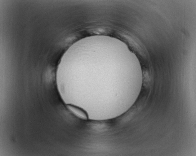 X0000116820284200912312021