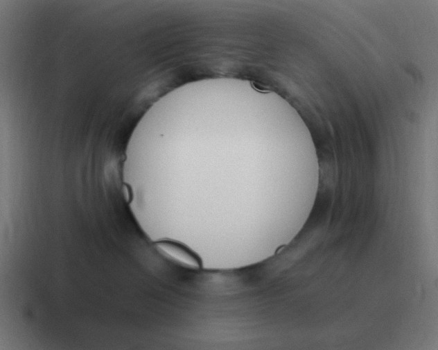 X0000116820286200912312021