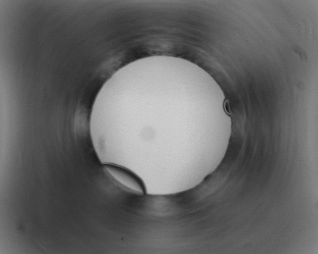 X0000116820287200912312021