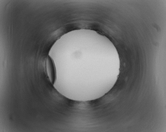 X0000116820288200912312021