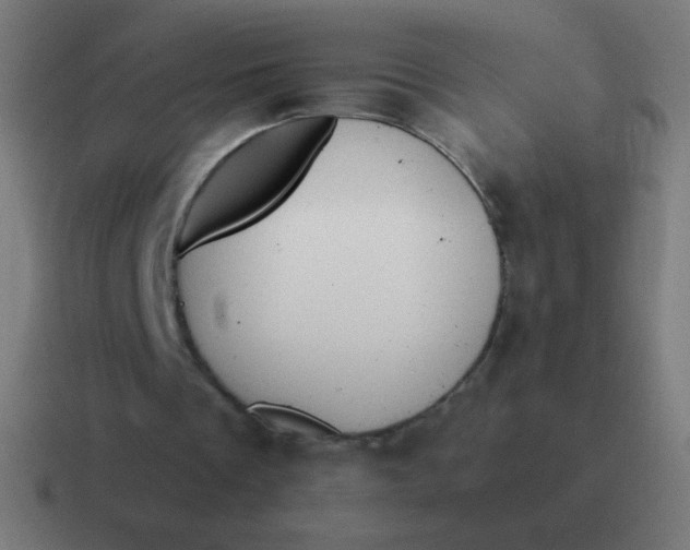 X0000116820289200912312021