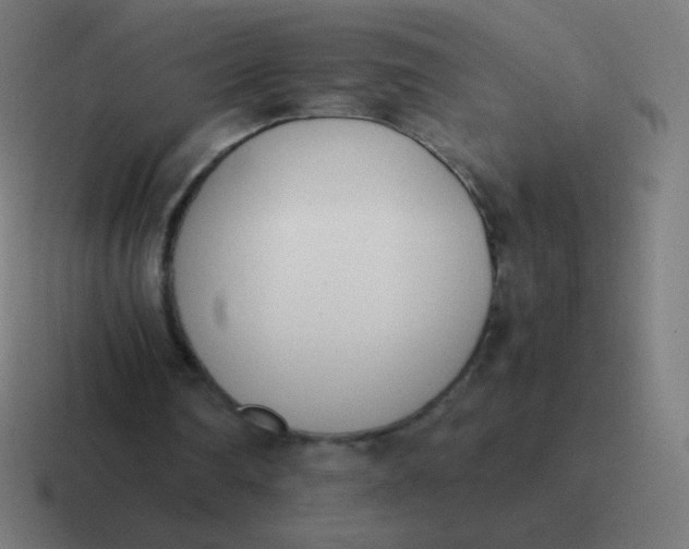 X0000116820290200912312021