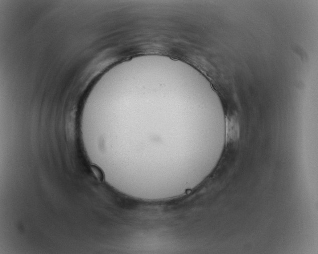 X0000116820291200912312021