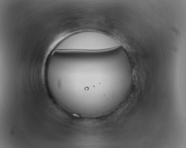 X0000116820292200912312021