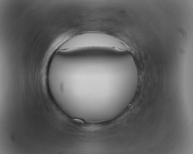 X0000116820293200912312021