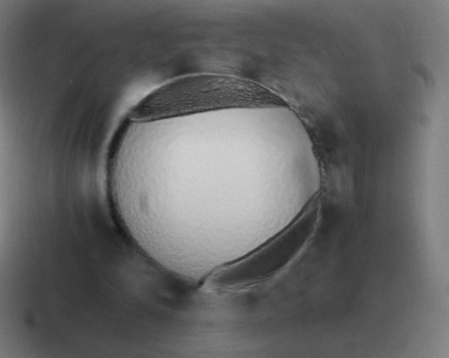 X0000116820294200912312021