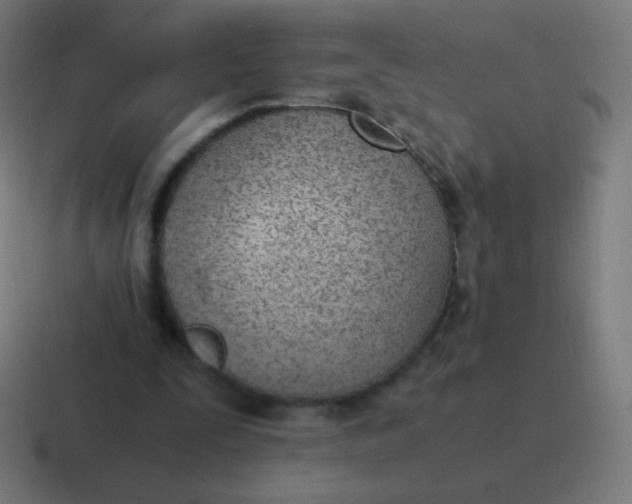 X0000116820295200912312021