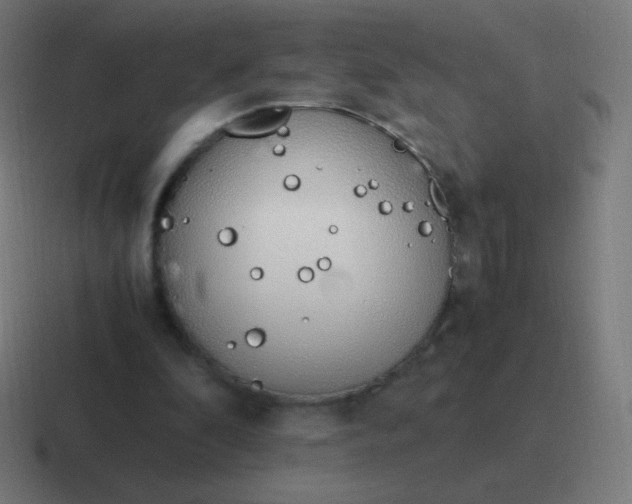 X0000116820296200912312021