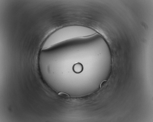 X0000116820297200912312021