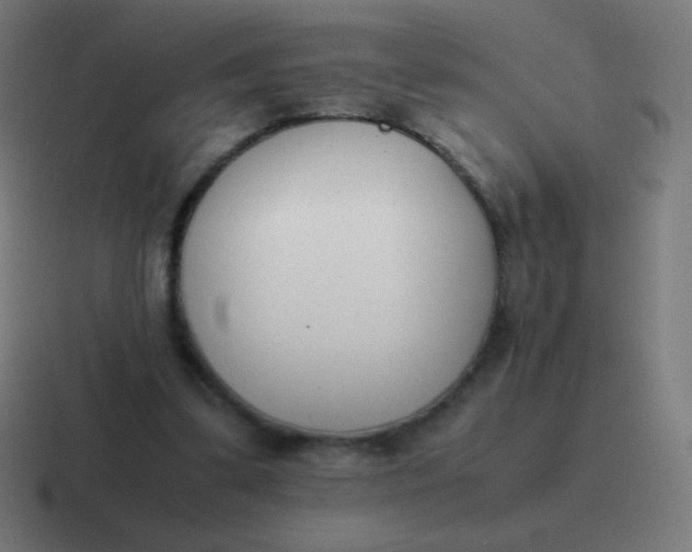 X0000116820299200912312021