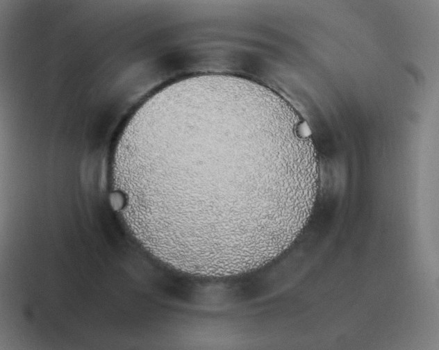 X0000116820301200912312021