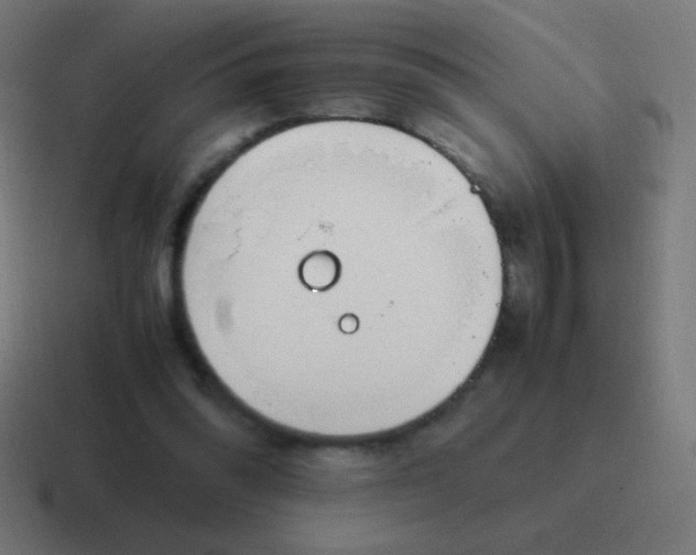 X0000116820302200912312021