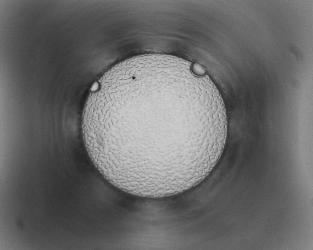 X0000116820305200912312021