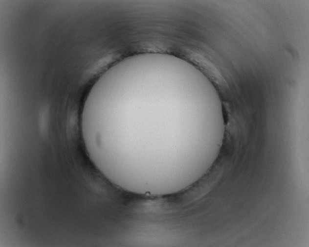 X0000116820306200912312021