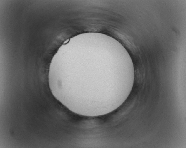 X0000116820307200912312021