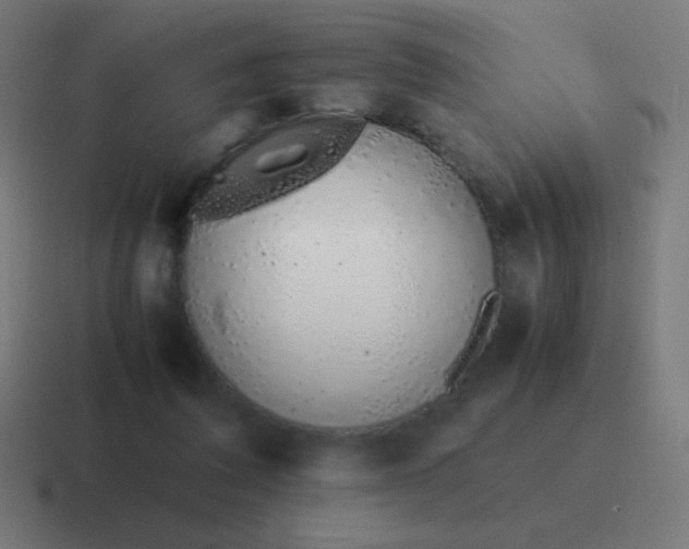 X0000116820308200912312021