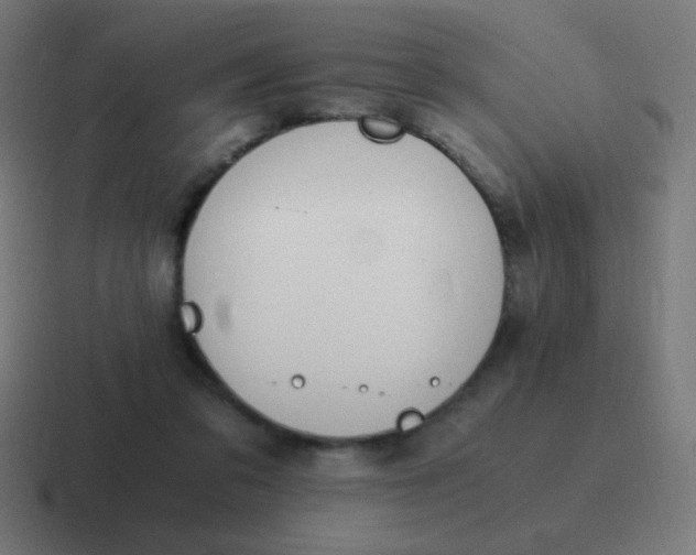 X0000116820309200912312021