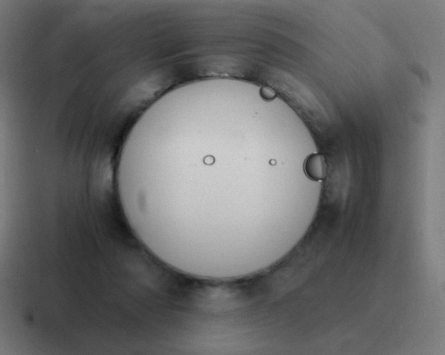 X0000116820310200912312021