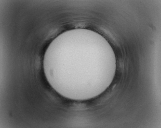 X0000116820311200912312021