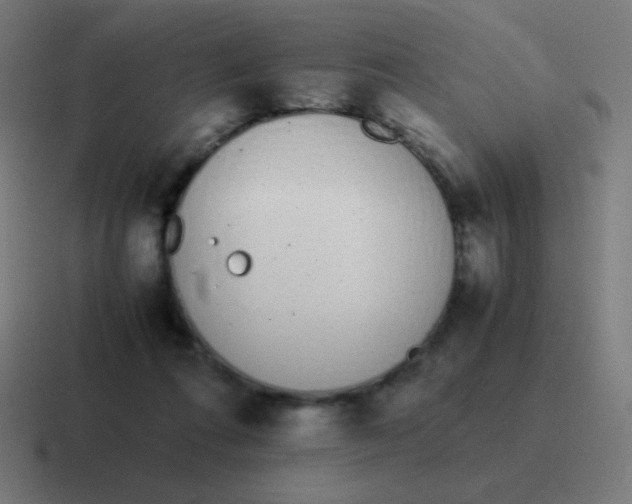 X0000116820312200912312021