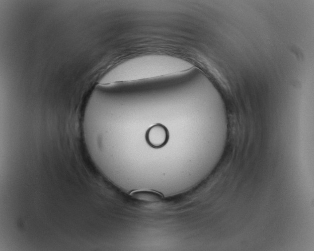 X0000116820313200912312021