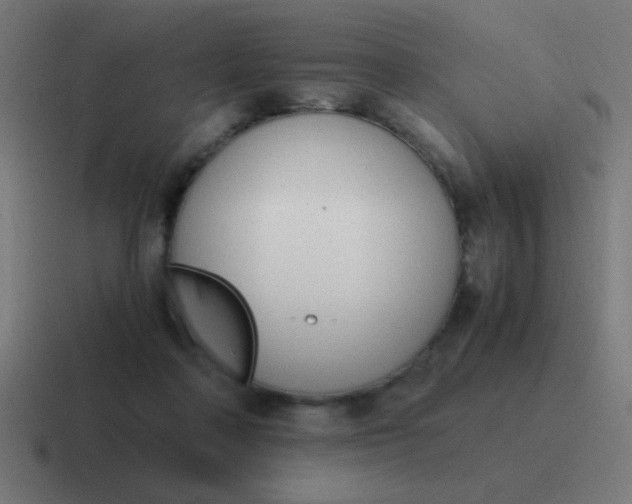 X0000116820314200912312021