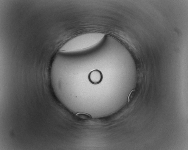 X0000116820317200912312020