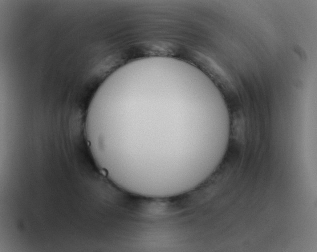 X0000116820318200912312020