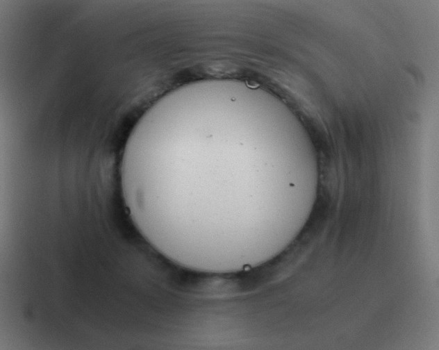 X0000116820319200912312020