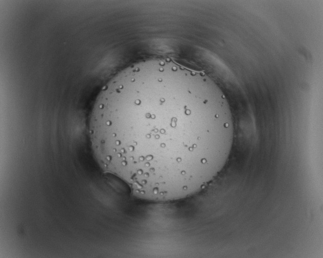 X0000116820320200912312020