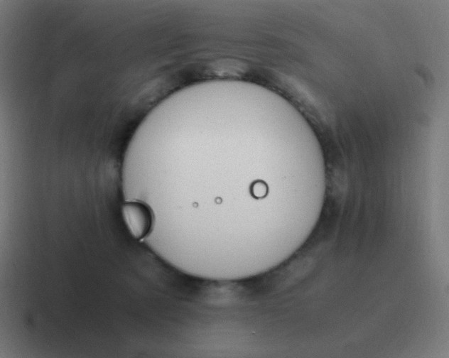 X0000116820321200912312020