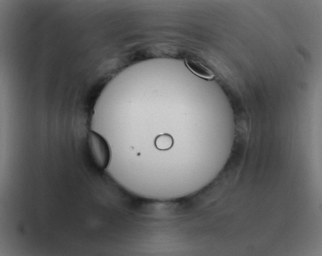 X0000116820323200912312020