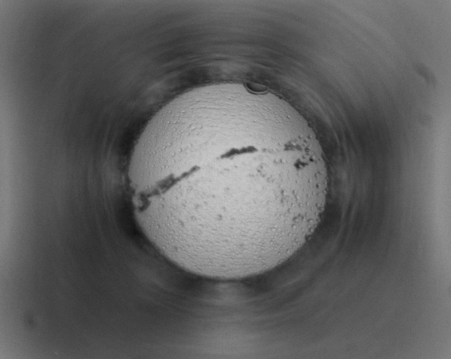 X0000116820324200912312020