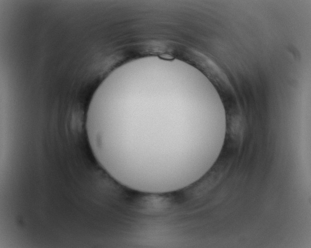 X0000116820326200912312020