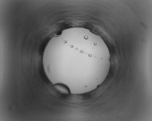 X0000116820327200912312020