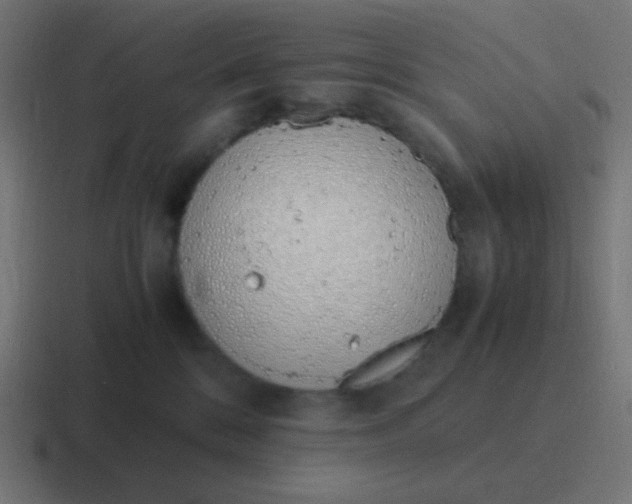 X0000116820328200912312020