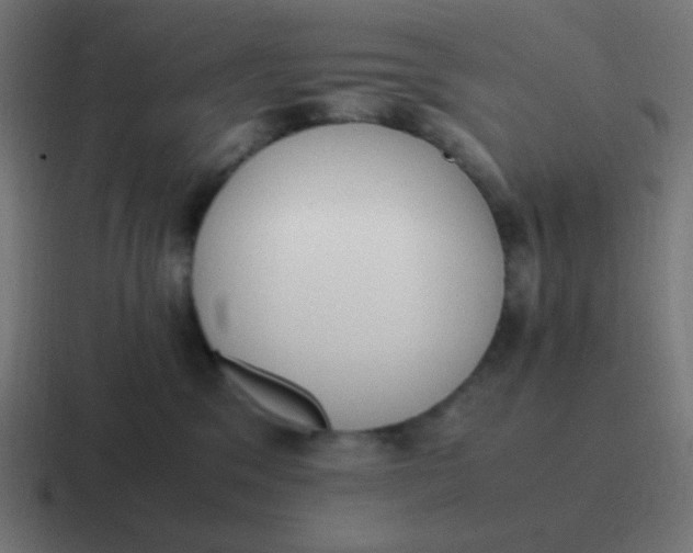 X0000116820329200912312020