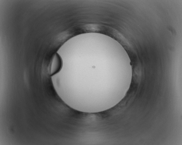 X0000116820330200912312020