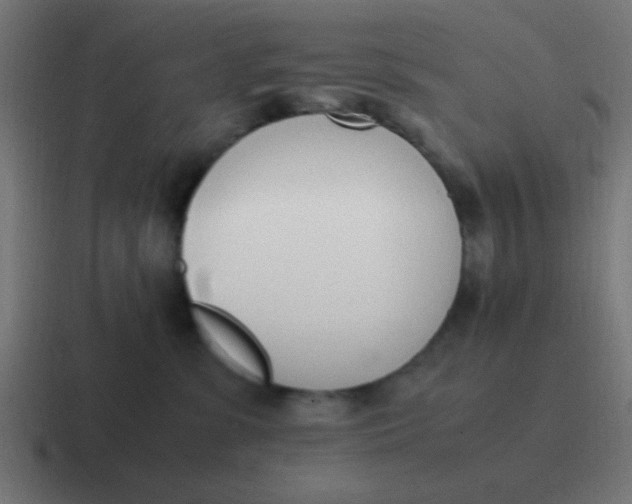 X0000116820331200912312020