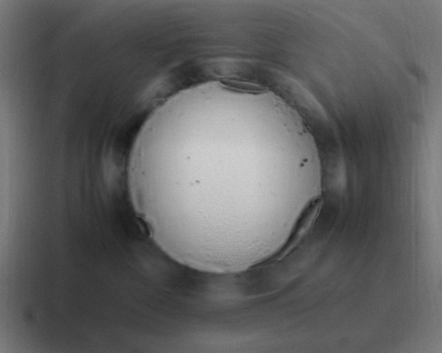 X0000116820332200912312020