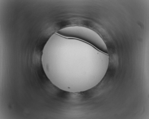 X0000116820333200912312020