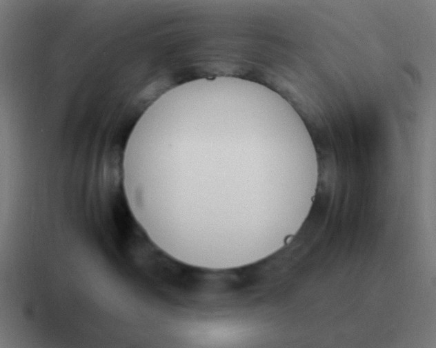 X0000116820334200912312020