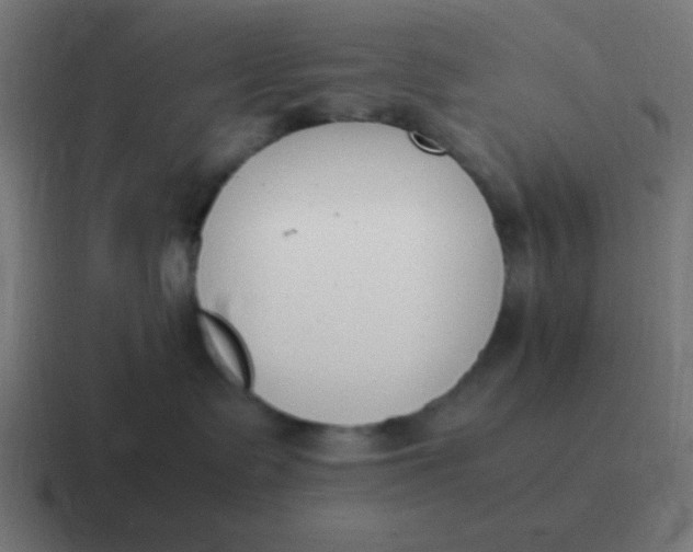 X0000116820335200912312020