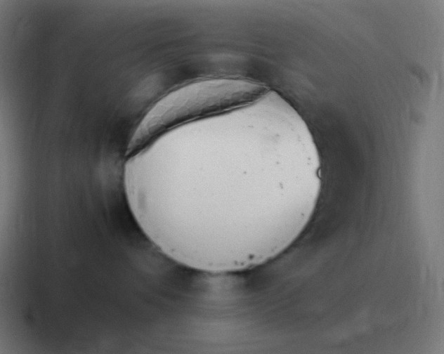 X0000116820336200912312020