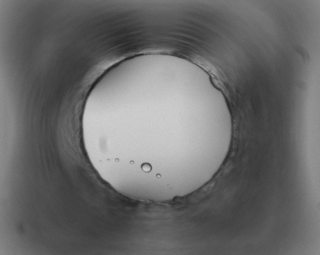 X0000116820337200912312020