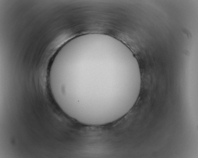 X0000116820338200912312020