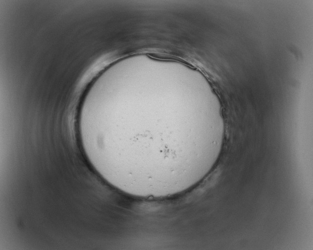 X0000116820341200912312020