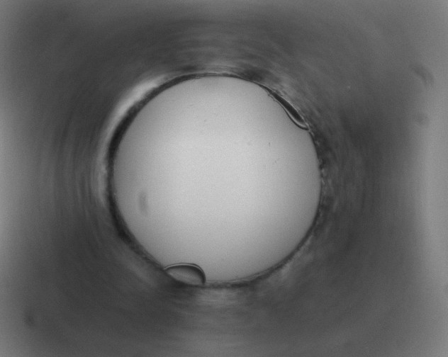 X0000116820342200912312020