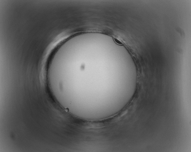 X0000116820343200912312020